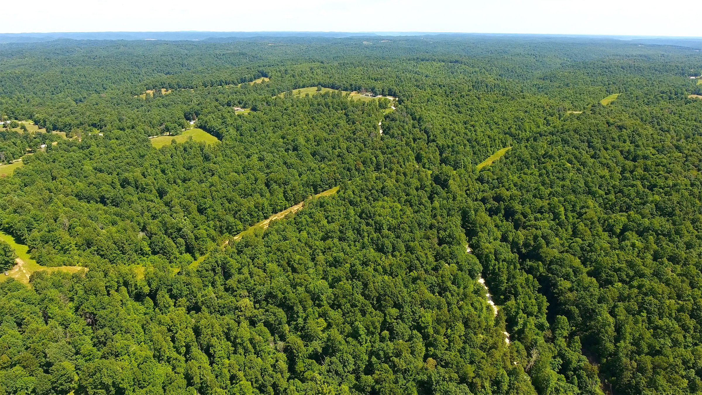Property photo 18 - LAND AUCTION - 1,682+/- ACRES OFFERED IN 17 TRACTS IN LEWIS & GREENUP COUNTIES, KENTUCKY